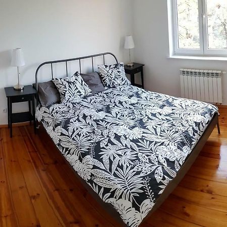 Apartament Styczynskiego 格利维采 外观 照片