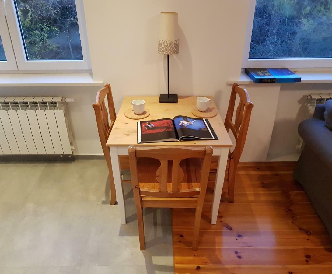 Apartament Styczynskiego 格利维采 外观 照片