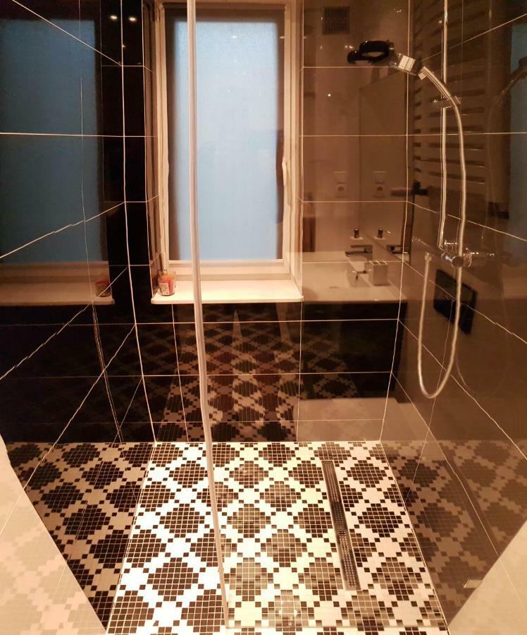 Apartament Styczynskiego 格利维采 外观 照片