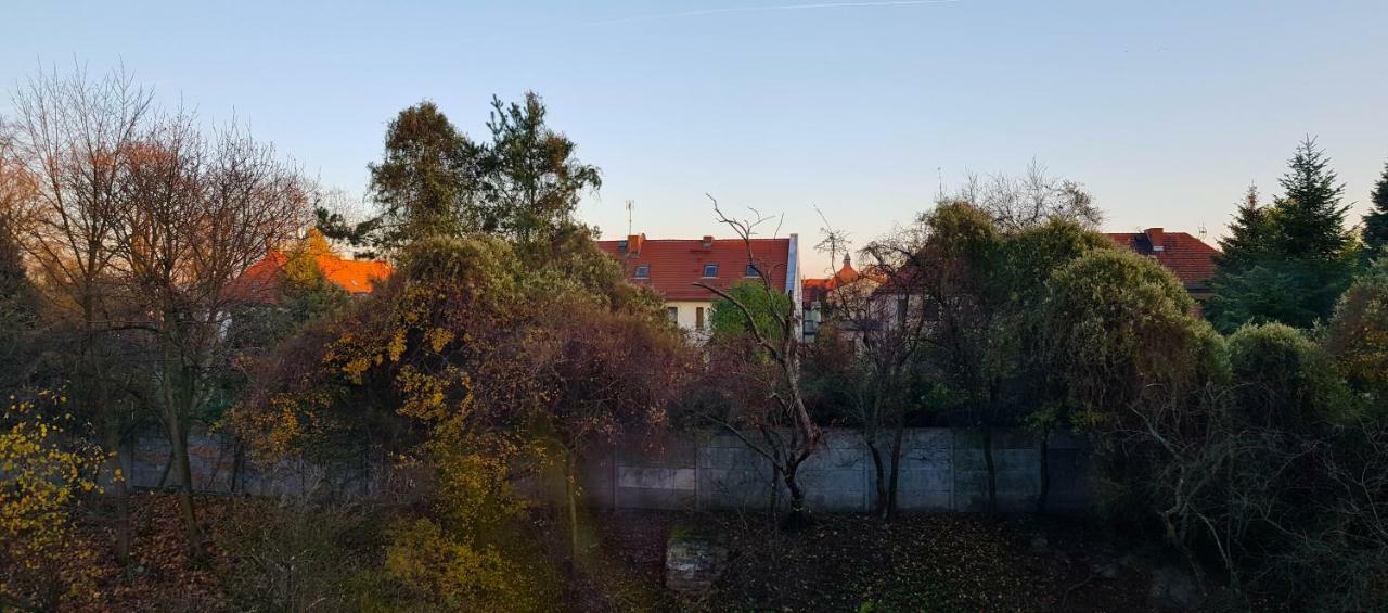 Apartament Styczynskiego 格利维采 外观 照片